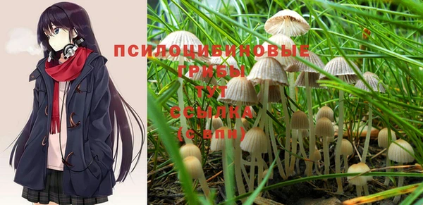 героин Абаза