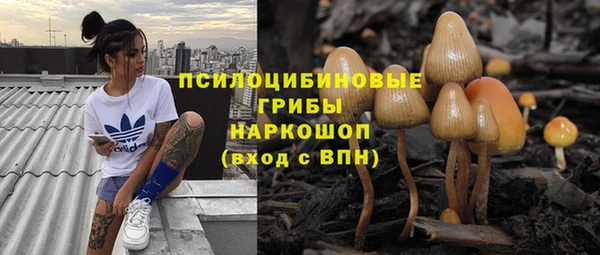 мет Абинск