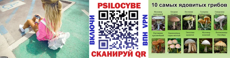 MEGA как зайти  Устюжна  Псилоцибиновые грибы мухоморы 