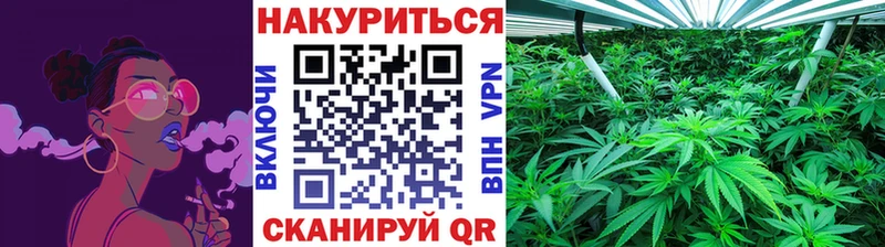 купить наркотики сайты  Устюжна  гидра рабочий сайт  Конопля AK-47 